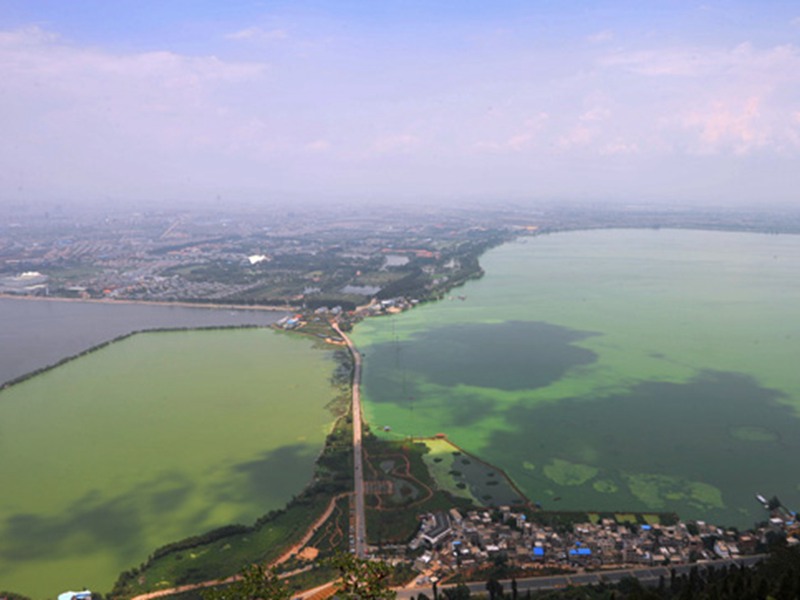 U1565P1T1D18022687F21DT20090615145848.jpg/