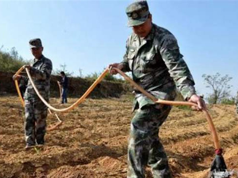 4de5e09a381eecb1a2f3270094beff3.jpg/